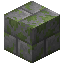 Mossy Stone Bricks