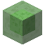 Slime Block