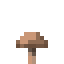 BROWN_MUSHROOM