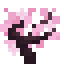 CHERRY_SAPLING