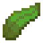 KELP