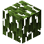 MANGROVE_LEAVES