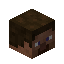 PLAYER_HEAD