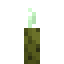 SEA_PICKLE