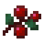 SWEET_BERRIES